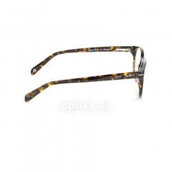 PJ3100 C2  () Pepe Jeans 36