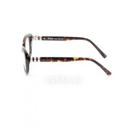 6491 C2  () Pier Martino 12