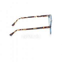 RB7118 8022  () Ray-Ban 36