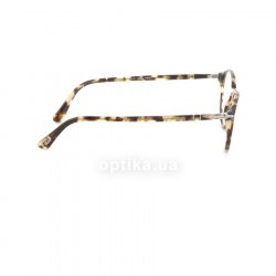 PO3174V 1056  () Persol 36