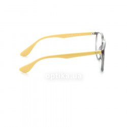 RB7046 5733 glasses (frame) Ray-Ban 36