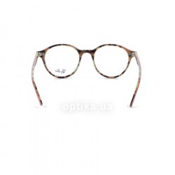 RB7118 5714  () Ray-Ban 24