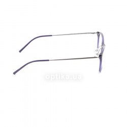 PC8429 DZU  () Pierre Cardin 36