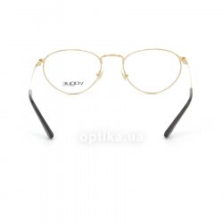 VO4084 280  () Vogue 24