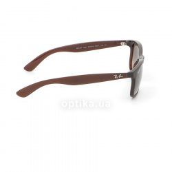 RB4202 6073 13 sunglasses Ray-Ban 36