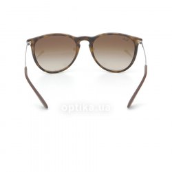RB4171 865 13   Ray-Ban 24