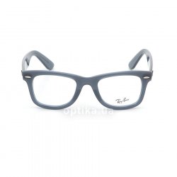 RB4340V 5747 glasses (frame) Ray-Ban 48