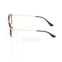 RB2447VF 5494  () Ray-Ban 12