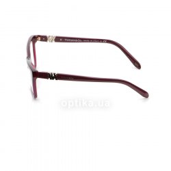 TF2137 8173  () Tiffany 12