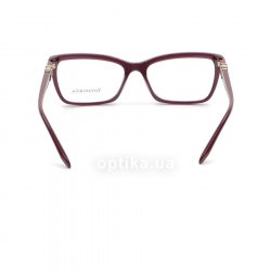 TF2137 8173  () Tiffany 24