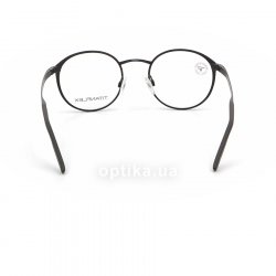820717 10  () Eschenbach 24