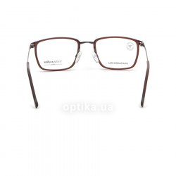 820687 60  () Eschenbach 24