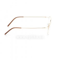 OP10819 C01  () Optelli 36