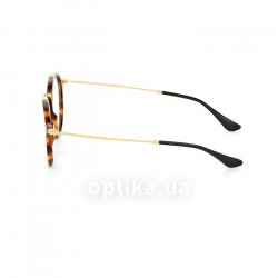 RB2447V 5494  () Ray-Ban 12