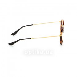 RB2447V 5494  () Ray-Ban 36
