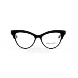DG3313 501 glasses (frame) Dolce&Gabbana 48