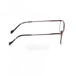 981019 50  () Eschenbach 36