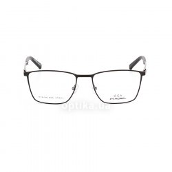 10117O NR16 glasses (frame) OGA 48