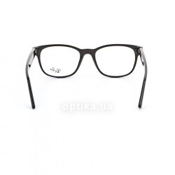 RB5359 2000 glasses (frame) Ray-Ban 24