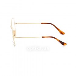 RB1971V 2500  () Ray-Ban 12