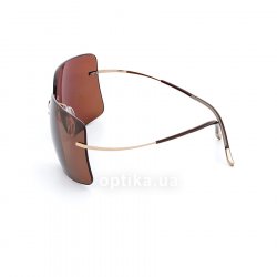 8661 21 6204 sunglasses Silhouette 12