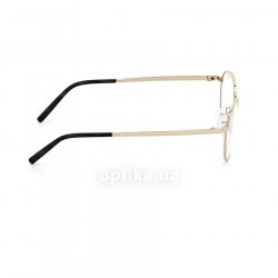 P8306 C  () Porsche Design 36