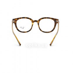 RB4324V 2012 glasses (frame) Ray-Ban 24