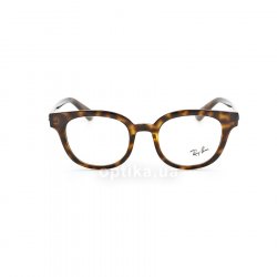 RB4324V 2012 glasses (frame) Ray-Ban 48