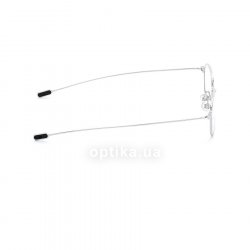 981554 00  () Eschenbach 36