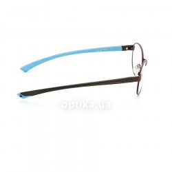 850079 60  () Eschenbach 36