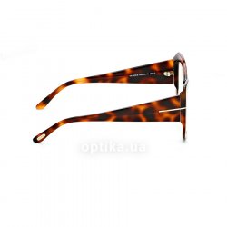 TF5602 B 055  () Tom Ford 36