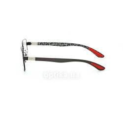 RB8419 2509 glasses (frame) Ray-Ban 12