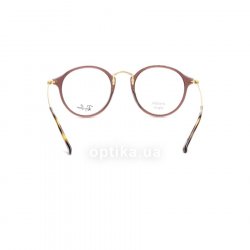 RB2447V 8033 C  () Ray-Ban 24