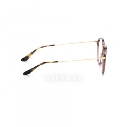 RB2447V 8033 C  () Ray-Ban 36