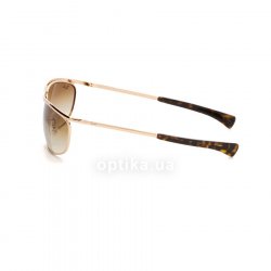 RB3119M 9202 51 sunglasses Ray-Ban 12