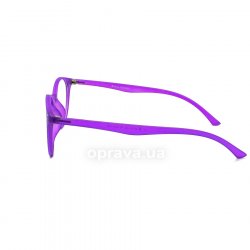 4019 C2 glasses (frame) Provision 12