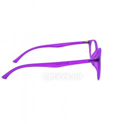 4019 C2 glasses (frame) Provision 36