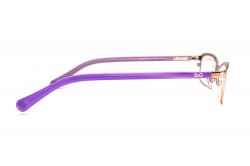 Eyewear (frame) D&G DD5089-1001