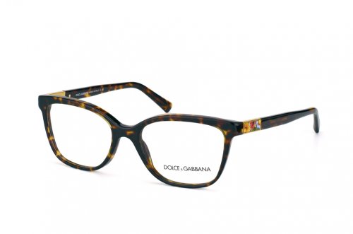 Eyewear (frame) Dolce&Gabbana  DG3187-502