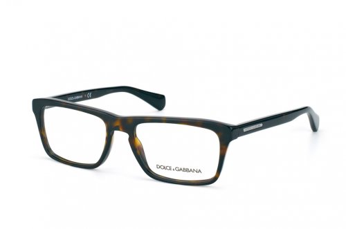  () Dolce&Gabbana  DG3191-502