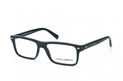  () Dolce&Gabbana  DG3196-501