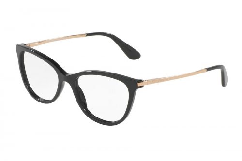  () Dolce&Gabbana  DG3258-501