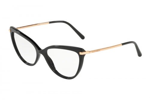  () Dolce&Gabbana  DG3295-501