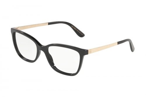 () Dolce&Gabbana  DG3317-501