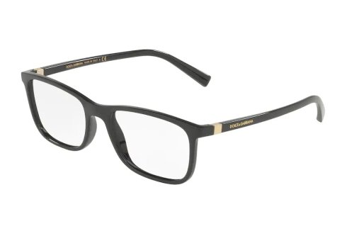  () Dolce&Gabbana  DG5027-501
