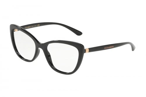  () Dolce&Gabbana  DG5039-501