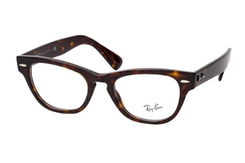 Eyewear (frame) Ray-Ban Laramie RB2201V-2012