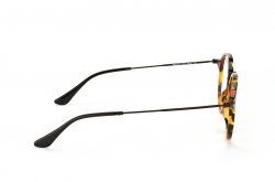 Eyewear (frame) Ray-Ban RB2447V-5491