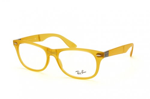  () Ray-Ban New Wayfarer Folding RB4223V-5519