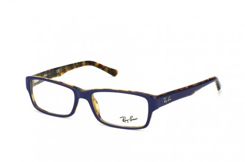 Eyewear (frame) Ray-Ban Highstreet RB5169-5219